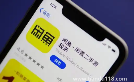 閑魚小法庭9票是不是贏了1