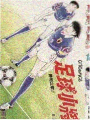 金影美食祭